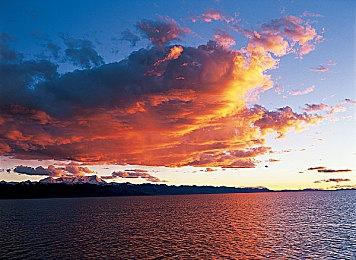 《刺客信条：英灵殿》联动《怪物猎人：世界》 惨爪龙风飘龙装备皮肤正式上线